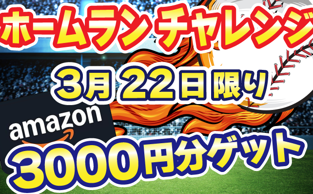 ホームランチャレンジ！